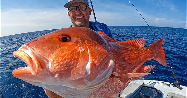 Big Genuine Red Snapper In The Atlantic Ocean {catch Clean Cook} Ft. Lucas Black