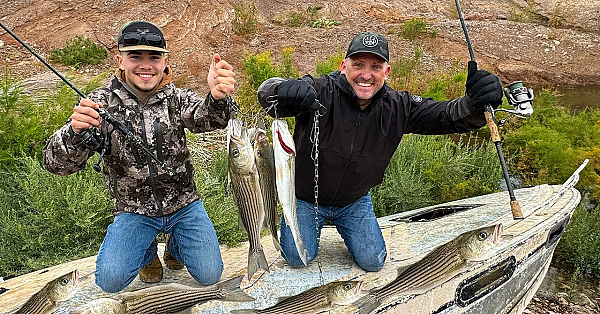 Lake Mead Is Drying Up! The Fish Are Starving! {catch Clean Cook} With Sin City Outdoors