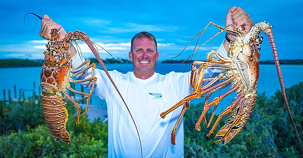Monster Lobster {catch Clean Cook} Home Made Lobster Bisque 2.0 (staniel Cay, Bahamas)