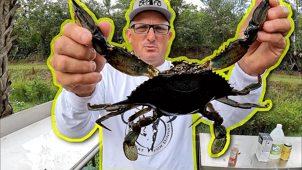Giant Florida Blue Crabs Are Way Better Than Maryland Blue Crabs {catch Clean Cook} Joey Is Back!!!