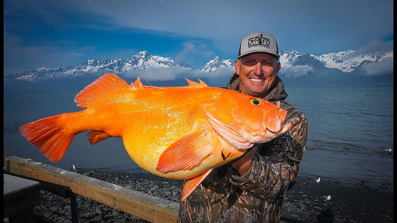 Massive Arctic Goldfish {catch Clean Cook} Millers Landing, Seward, Ak