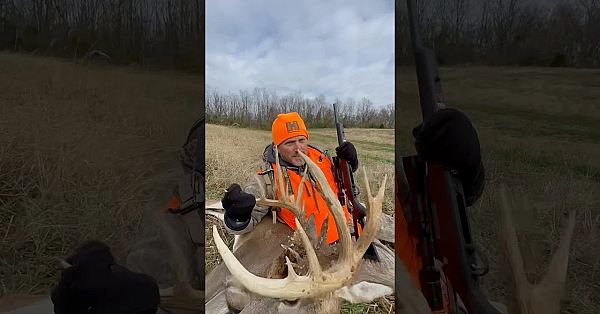 You Can’t Eat Horns! #boomboom