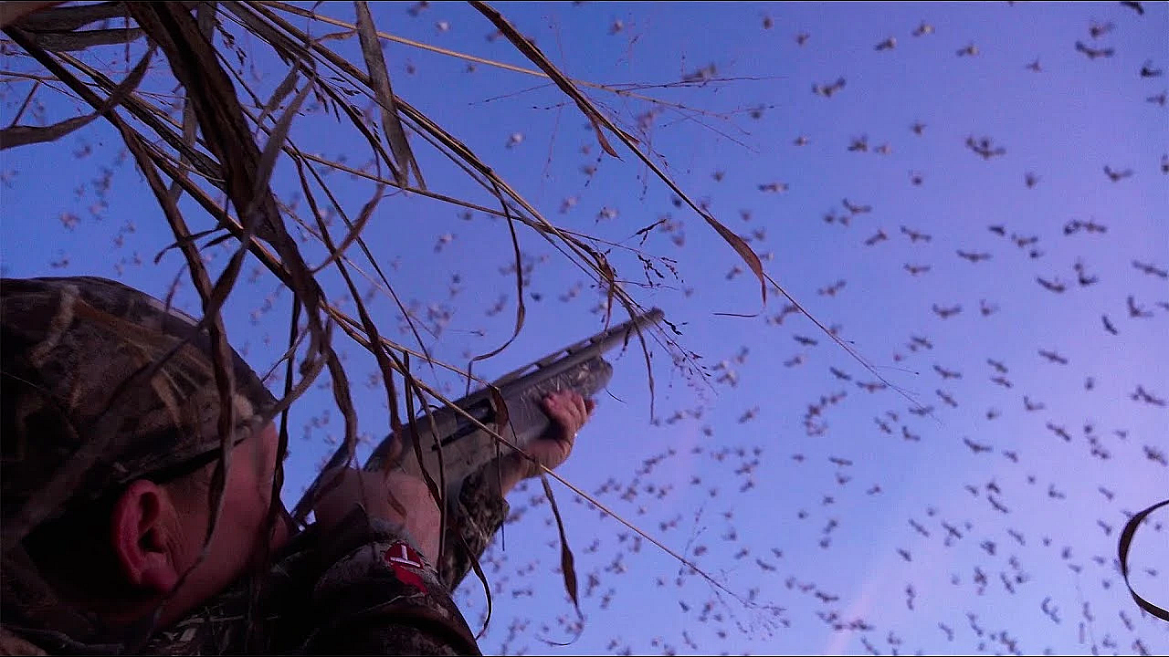 Ready For Hunting Season? #shorts