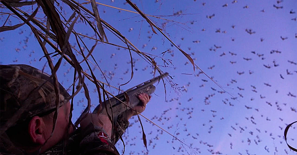 Ready For Hunting Season? #shorts