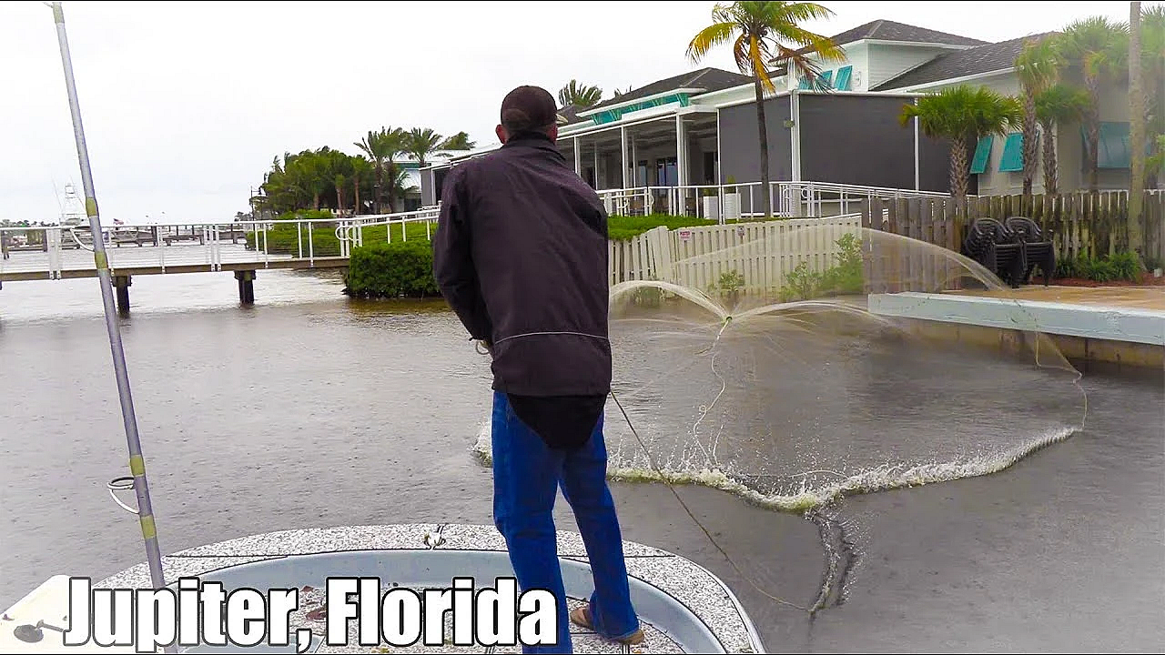 Cast Netting Piles Of Bait!!! {2020 Mullet Run} The Twisted Tuna