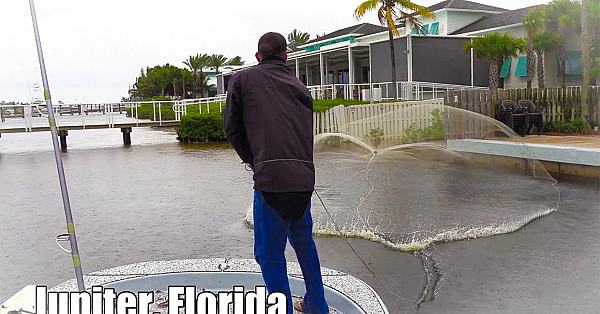 Cast Netting Piles Of Bait!!! {2020 Mullet Run} The Twisted Tuna