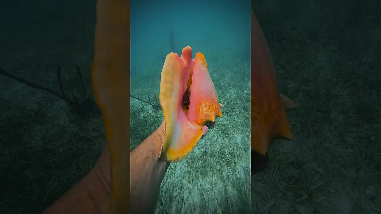 Wanna Make All Your Friends Happy? #shorts #viral #happy