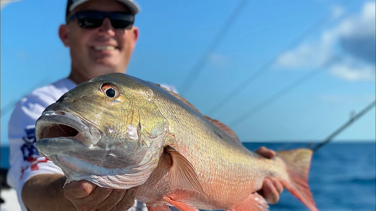Monster Snapper {catch Clean Cook} Whole Butterflied Snapper