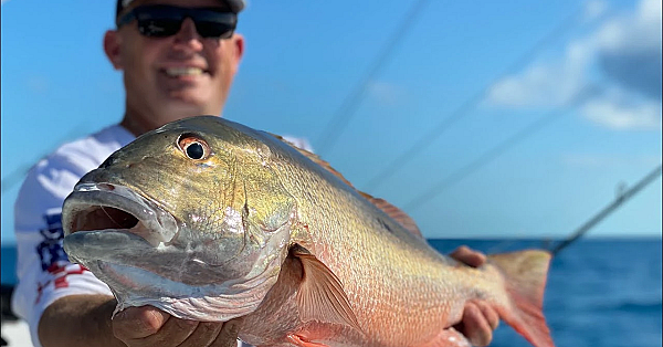 Monster Snapper {catch Clean Cook} Whole Butterflied Snapper