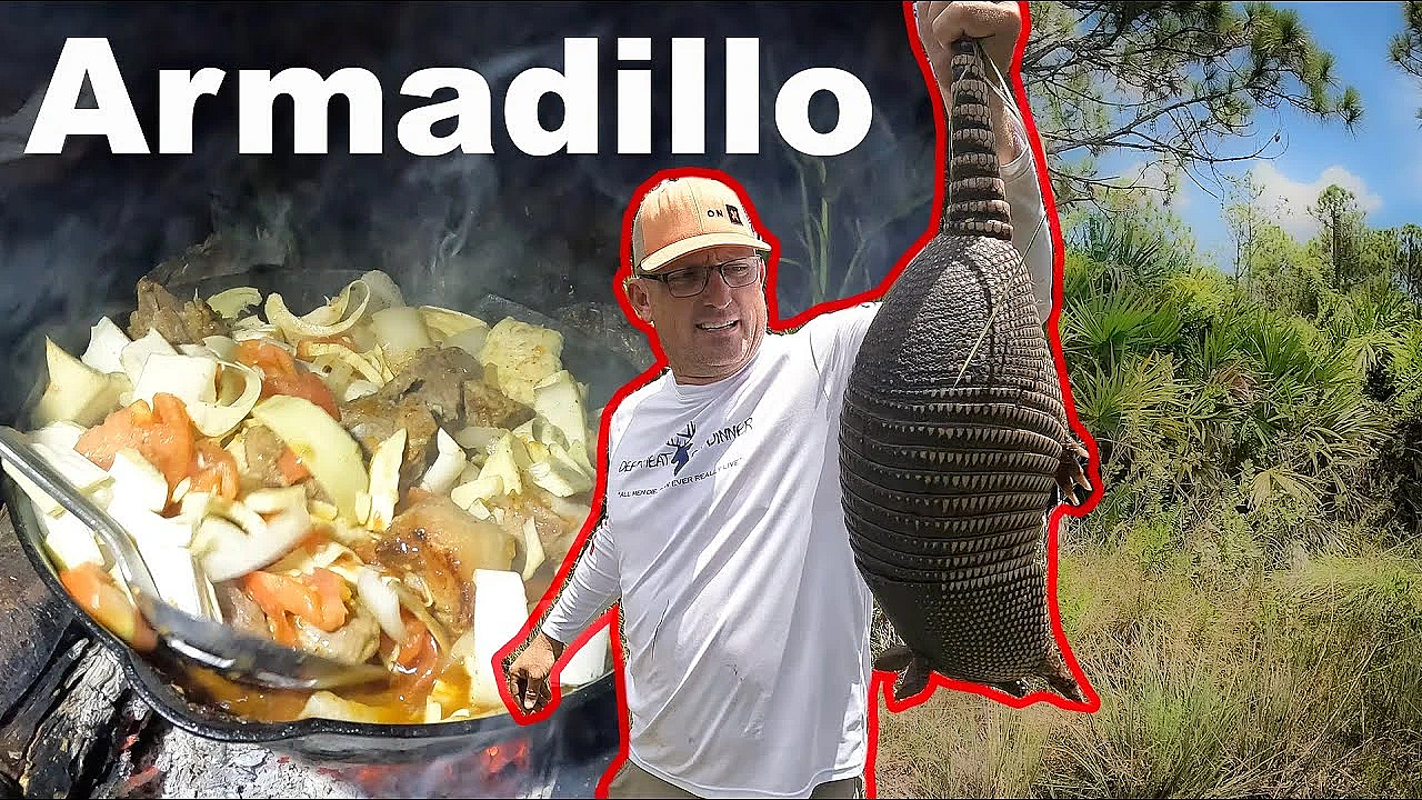 Swamp Cabbage, Armadillo And Wild Boar! Wild Food On An Open Fire!