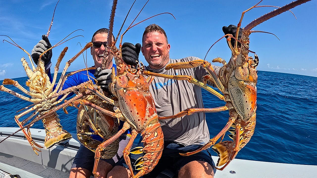 My Biggest Lobster On The Last Day Of Season {catch Clean Cook} Feeding Total Strangers
