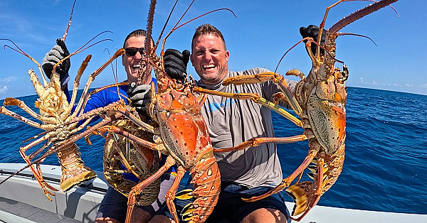 My Biggest Lobster On The Last Day Of Season {catch Clean Cook} Feeding Total Strangers