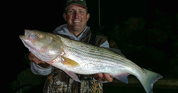 Nighttime Stripers Off The Nova Scotia Rocks!!! {catch Clean Cook}