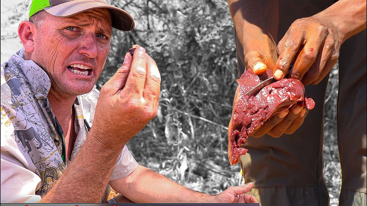 Real Survival Food!!!! Wild Liver Cooked In Fire! {catch Clean Cook} Wild Game Capture