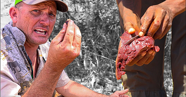 Real Survival Food!!!! Wild Liver Cooked In Fire! {catch Clean Cook} Wild Game Capture