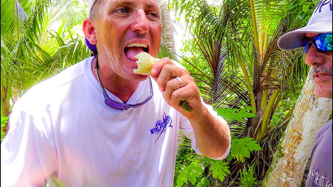 The Ultimate Survival Food!!! {catch Clean Cook} The Tree Of Life!!!