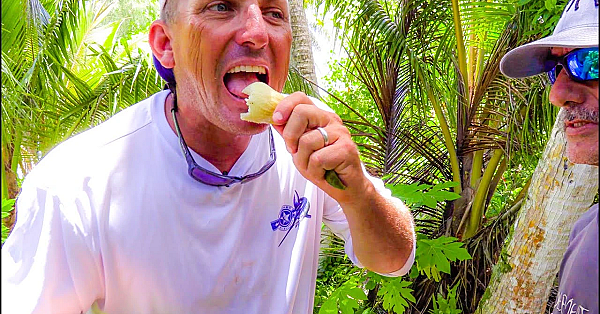 The Ultimate Survival Food!!! {catch Clean Cook} The Tree Of Life!!!