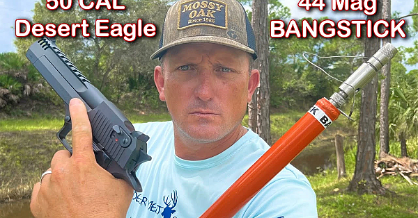 50 Cal Desert Eagle Vs 44 Mag Bangstick Vs 6.5 Creedmoor