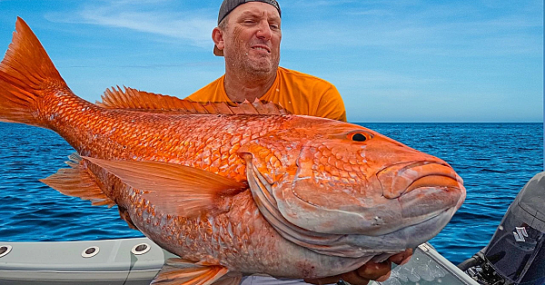 This Snapper Was Huge!!! {catch Clean Cook} Down The Hatch