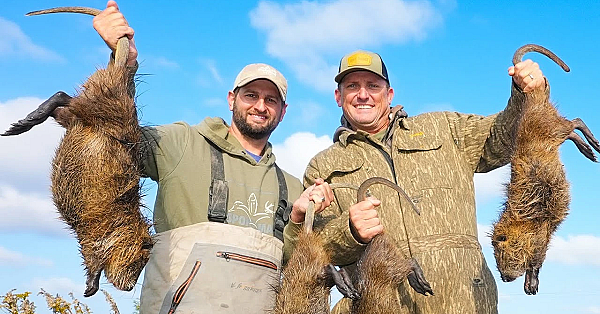 Hunting Massive Marsh Rats From A Boat! {catch Clean Cook} Cajun Rat Rolls