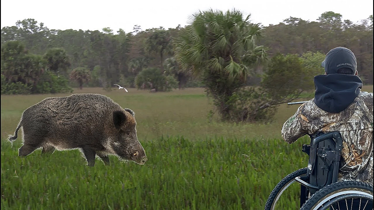 Paraplegic Who Talks Like Wild Animals!! Josh Carney {catch Clean Cook} Awesome Wild Boar Hunt