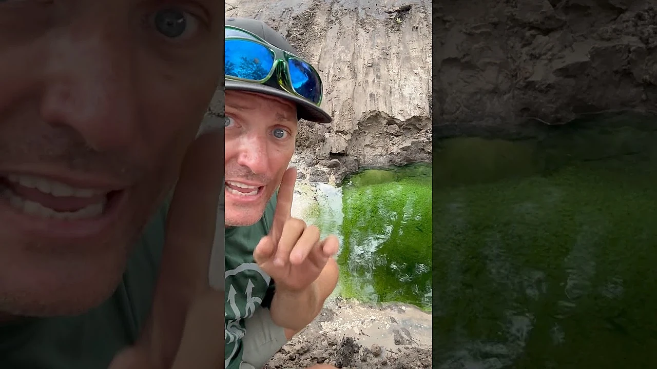 We Found a Spring on the Sanctuary!