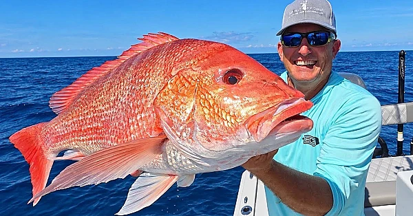 My Biggest American Red Snapper {Catch Clean Cook} Small Rod, Big Fish!