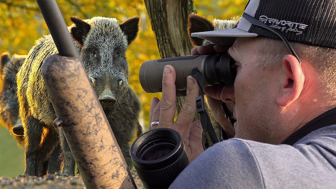 Wild Boar Hunting {catch Clean Cook} A Massive Ranch Project