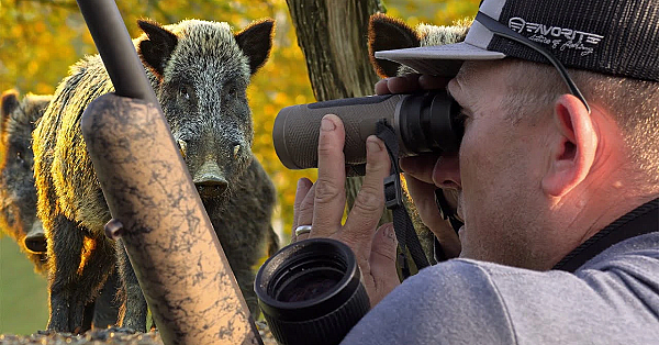 Wild Boar Hunting {catch Clean Cook} A Massive Ranch Project