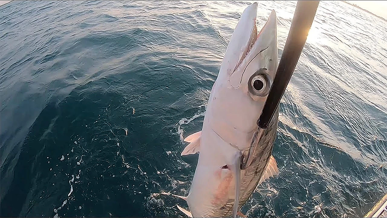 Honey Smoked Kingfish {catch Clean Cook} Habanero Pineapple Glaze