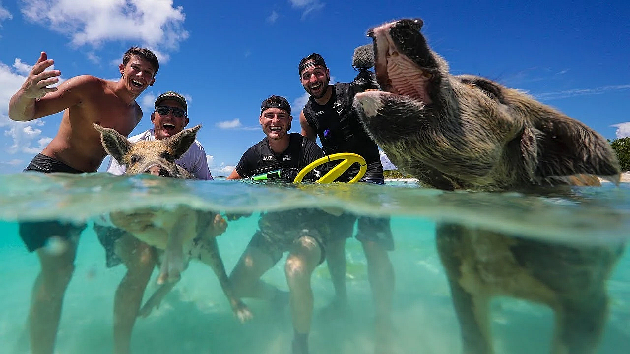 We Found Swimming Pigs!!! Ft. Dallmyd, Jigging With Jordan, Yappy Twan Twan