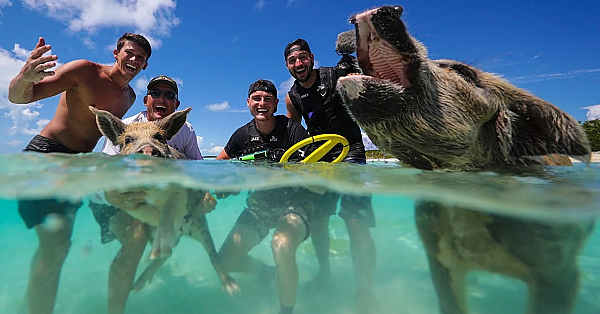 We Found Swimming Pigs!!! Ft. Dallmyd, Jigging With Jordan, Yappy Twan Twan