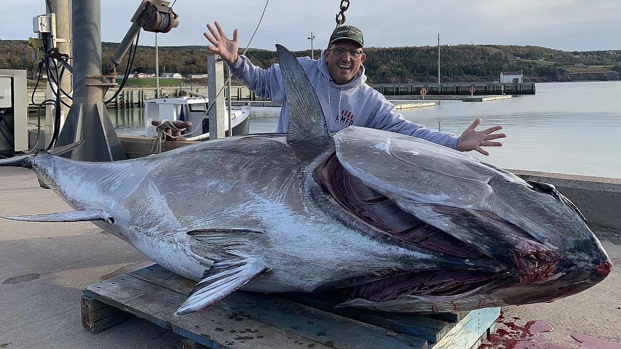 Fish Worth More Than $1,000,000 Dollars!