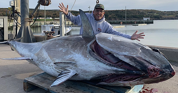 Fish Worth More Than $1,000,000 Dollars!