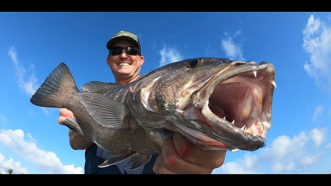 Cubera Snapper {catch Clean Cook} Family Dinner
