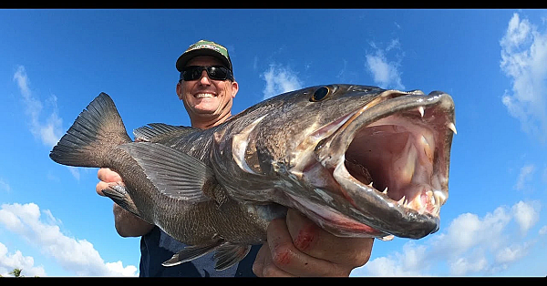 Cubera Snapper {catch Clean Cook} Family Dinner