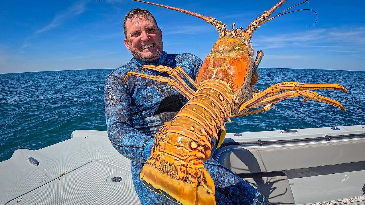 The Biggest Lobster I've Ever Seen! {catch Clean Cook} Whole Roasted Lobster