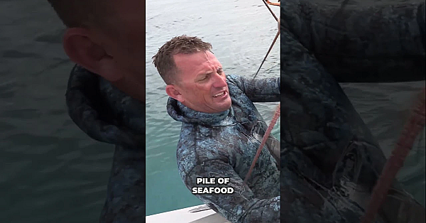 It's A Monster Lobster!  #seafoodfordinner #diving