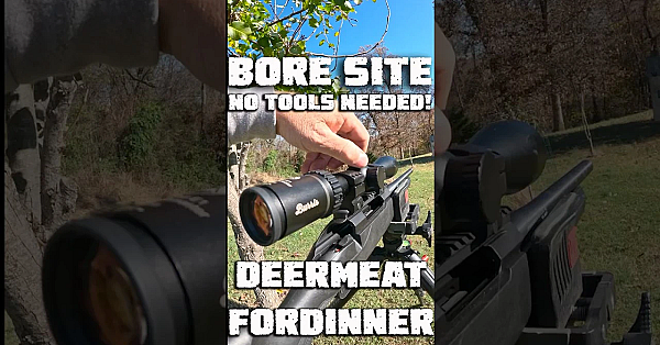 Bore Sight With No Tools! #shorts