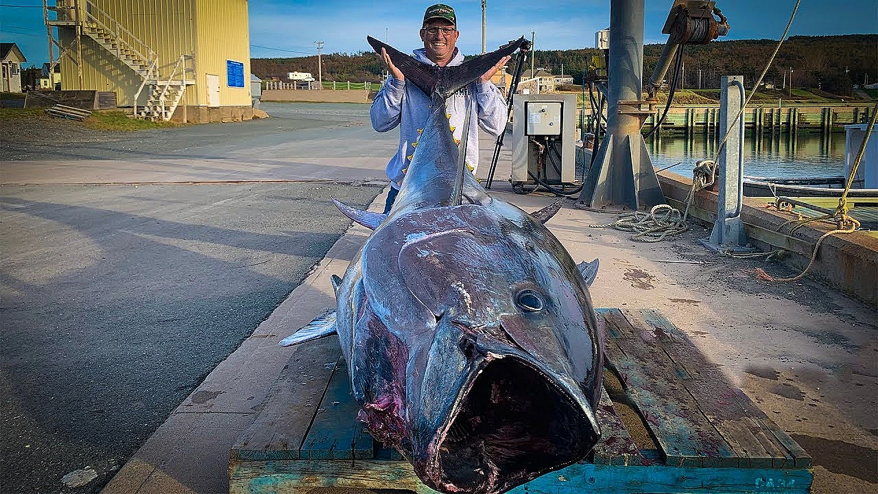 $1,000,000.00 Fish {catch Clean Cook} Giant Bluefin Tuna!!!