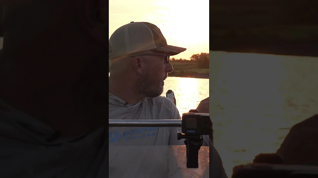 This Is My Food! #shorts #viralvideo #alligator