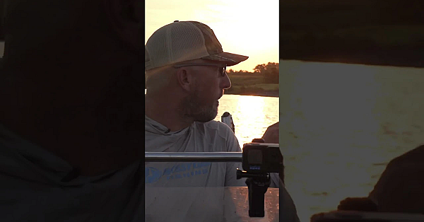 This Is My Food! #shorts #viralvideo #alligator