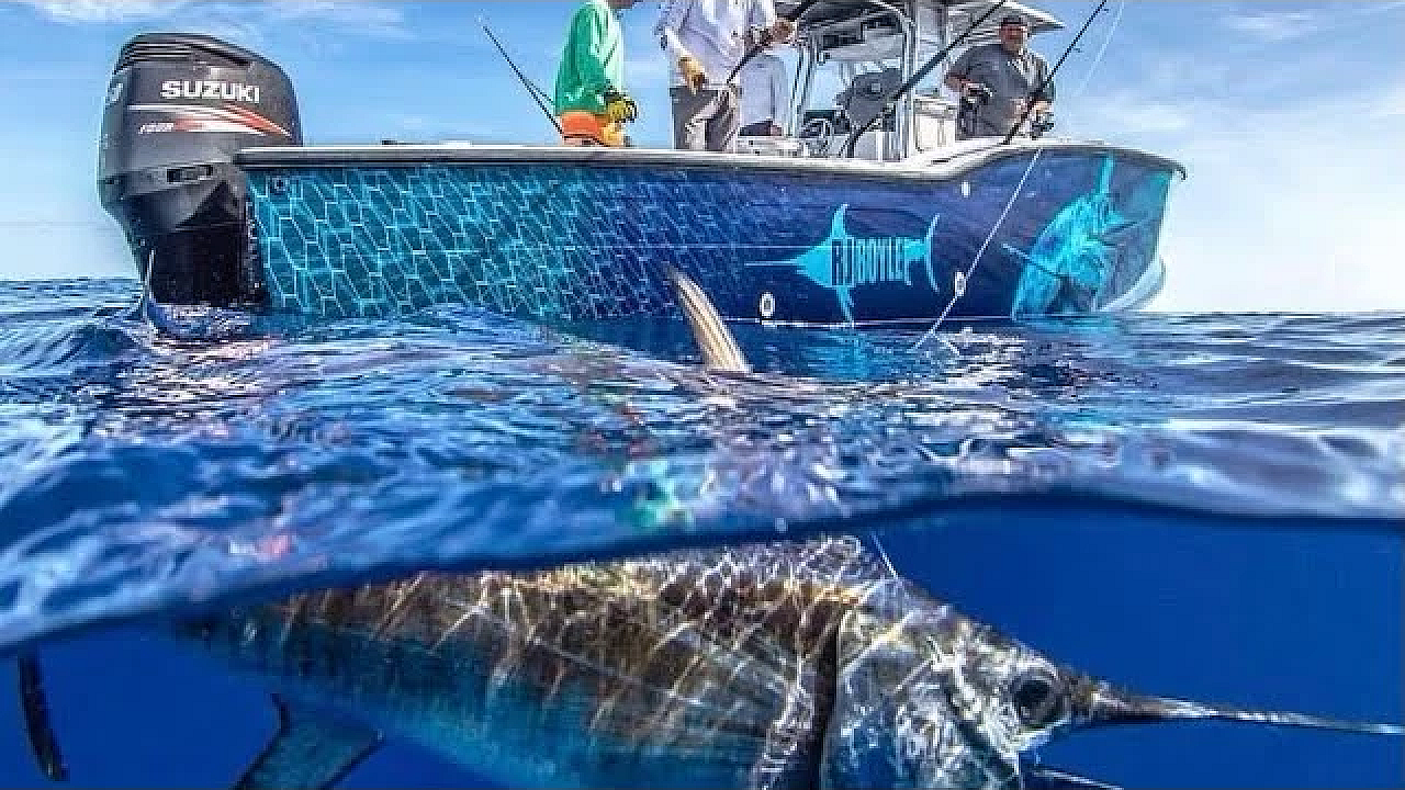 Sword-fishing With $5000 Satellite Tag! {catch Clean Cook} Gray Fishtag Research Tournament