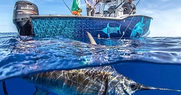 Sword-fishing With $5000 Satellite Tag! {catch Clean Cook} Gray Fishtag Research Tournament