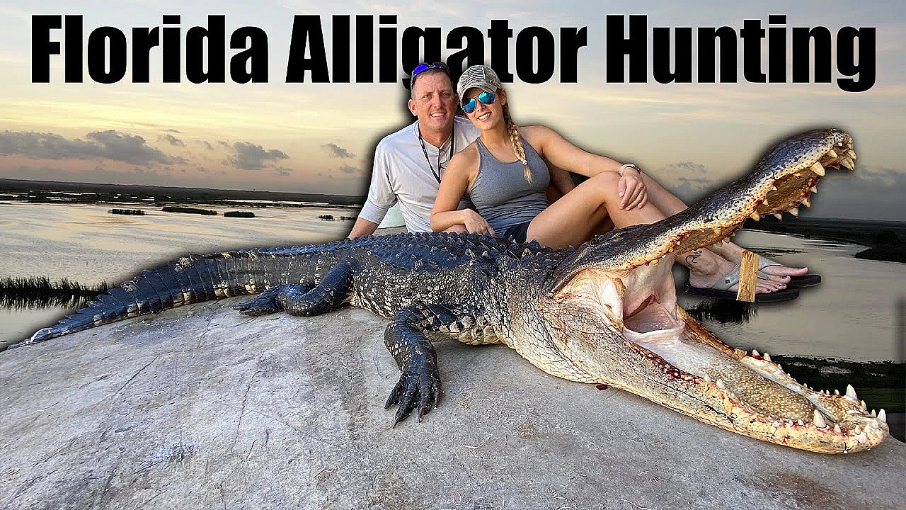 Giant Florida Gator {catch Clean Cook} Gourmet Alligator Recipe