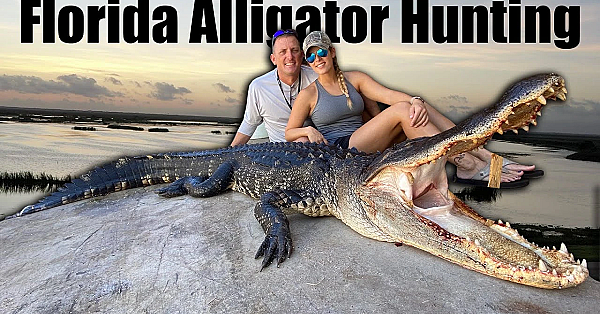 Giant Florida Gator {catch Clean Cook} Gourmet Alligator Recipe