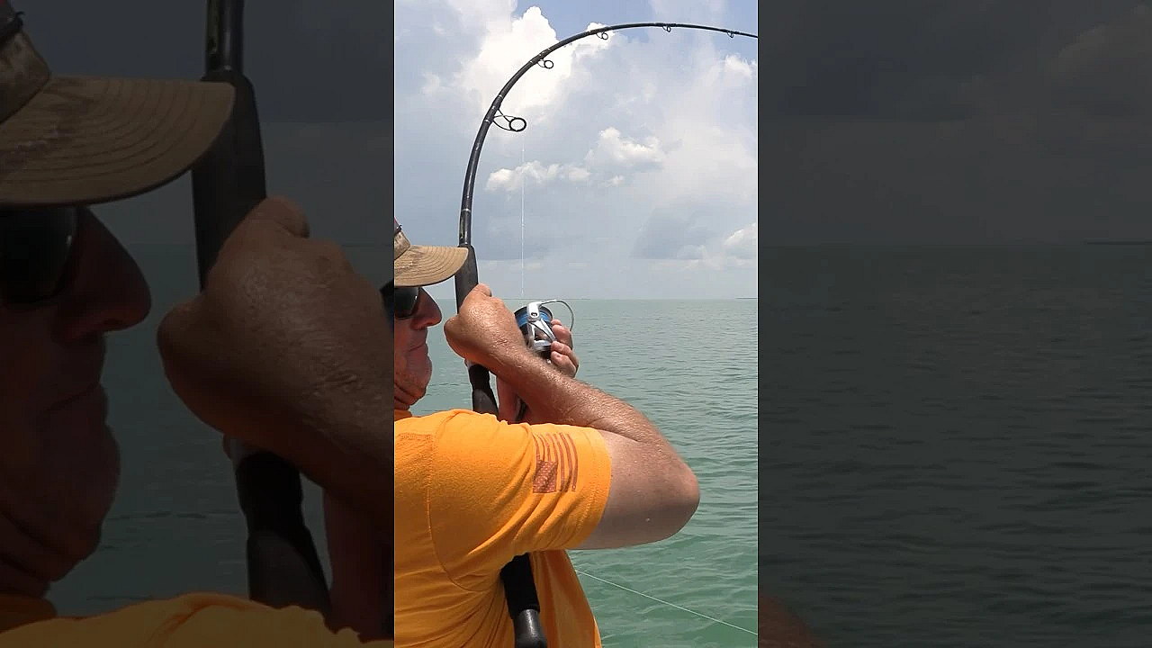 Never Expected This!