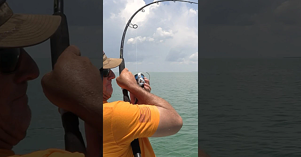 Never Expected This!