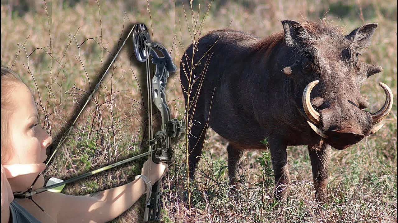 Savage Warthog And Impala With Bow! {catch Clean Cook} Home Made Biltong Pizza