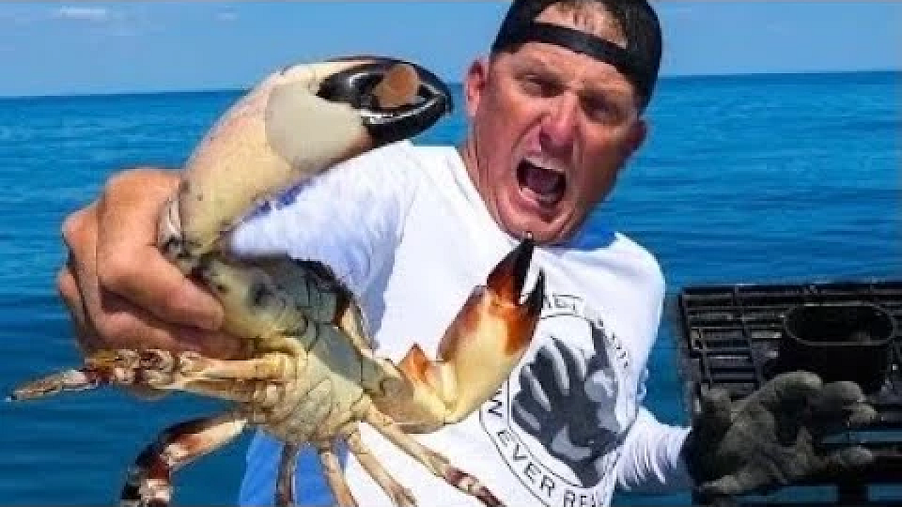 Monster Stone Crab Destroyed My Thumb {catch Clean Cook} Best Crab On Earth!